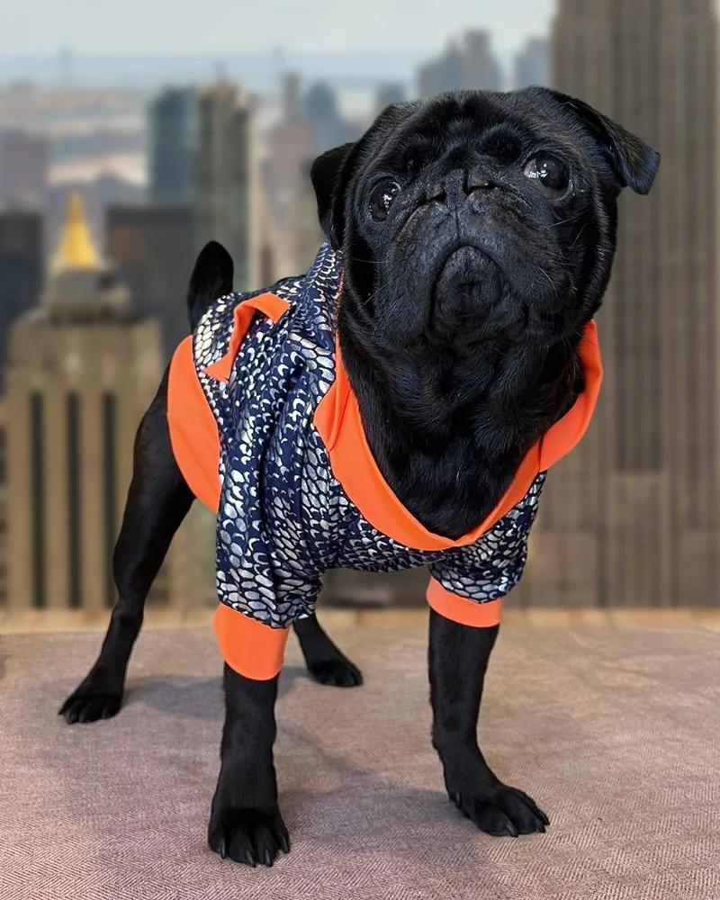 Bowtie Bonded To Buttons