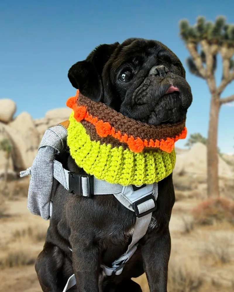 Bowtie Bonded To Buttons thumbnail 6