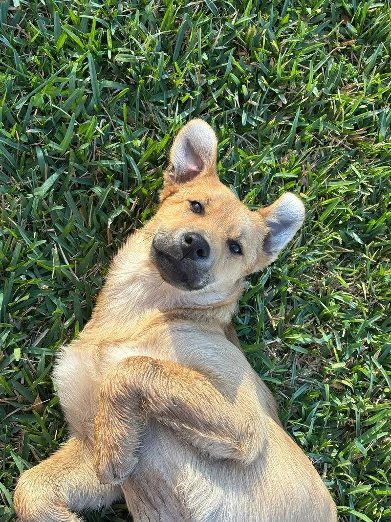 Rosita Belly Rub Princess thumbnail 2