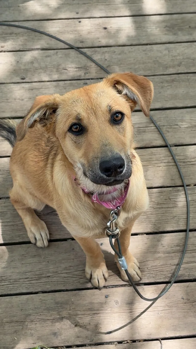 Rosita Belly Rub Princess thumbnail 4