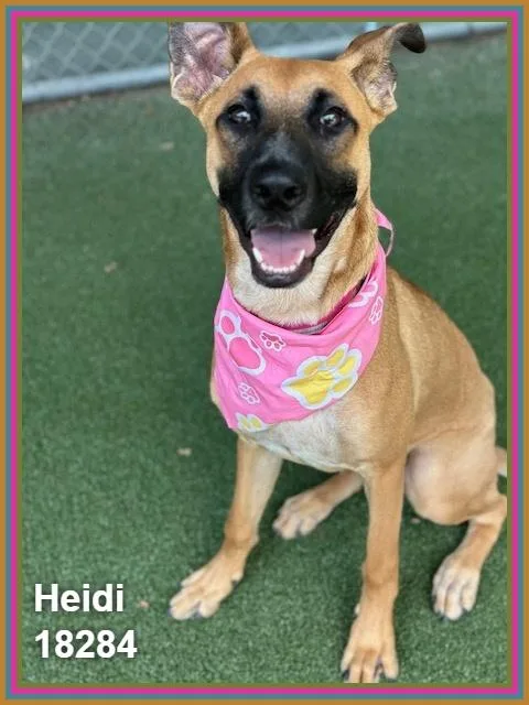 Heidi