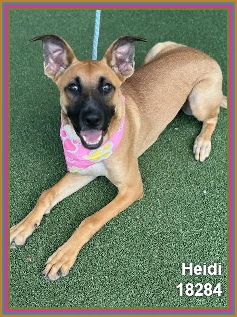 Heidi thumbnail 2