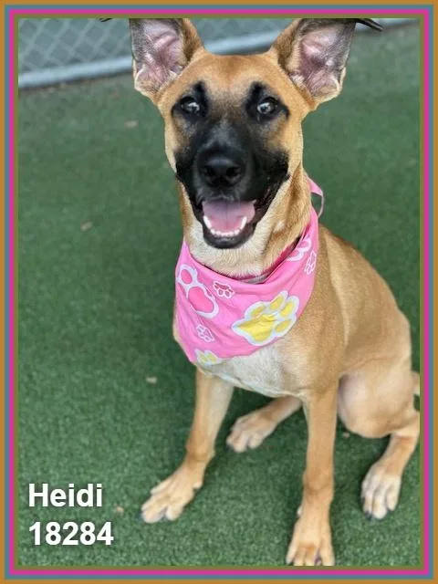 Heidi thumbnail 3