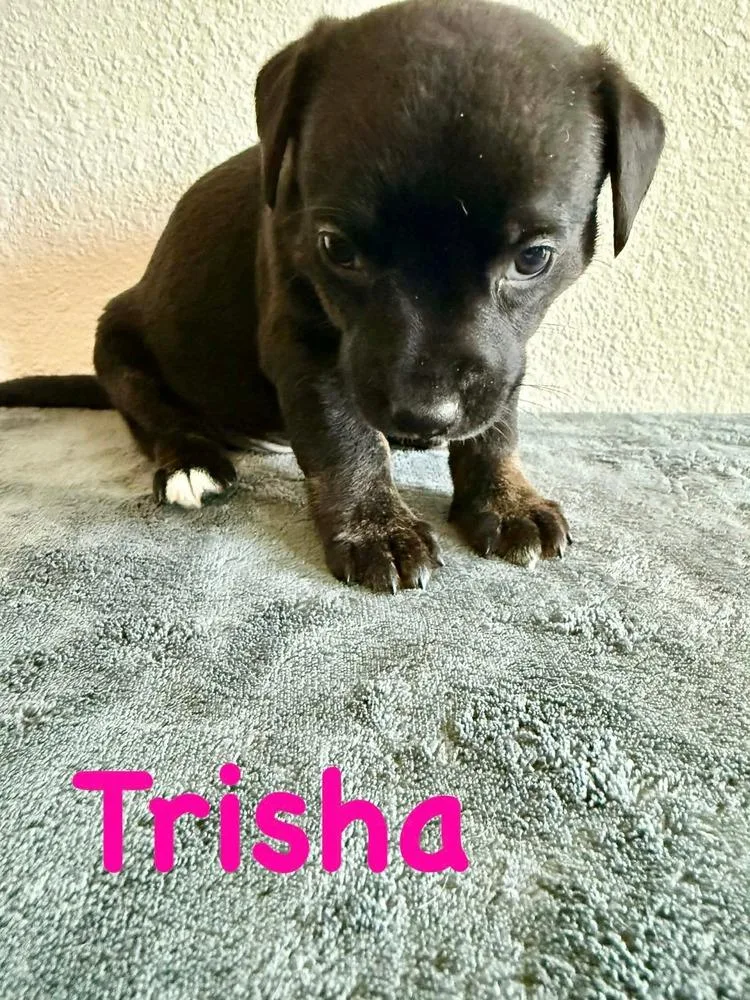 Trisha thumbnail 3