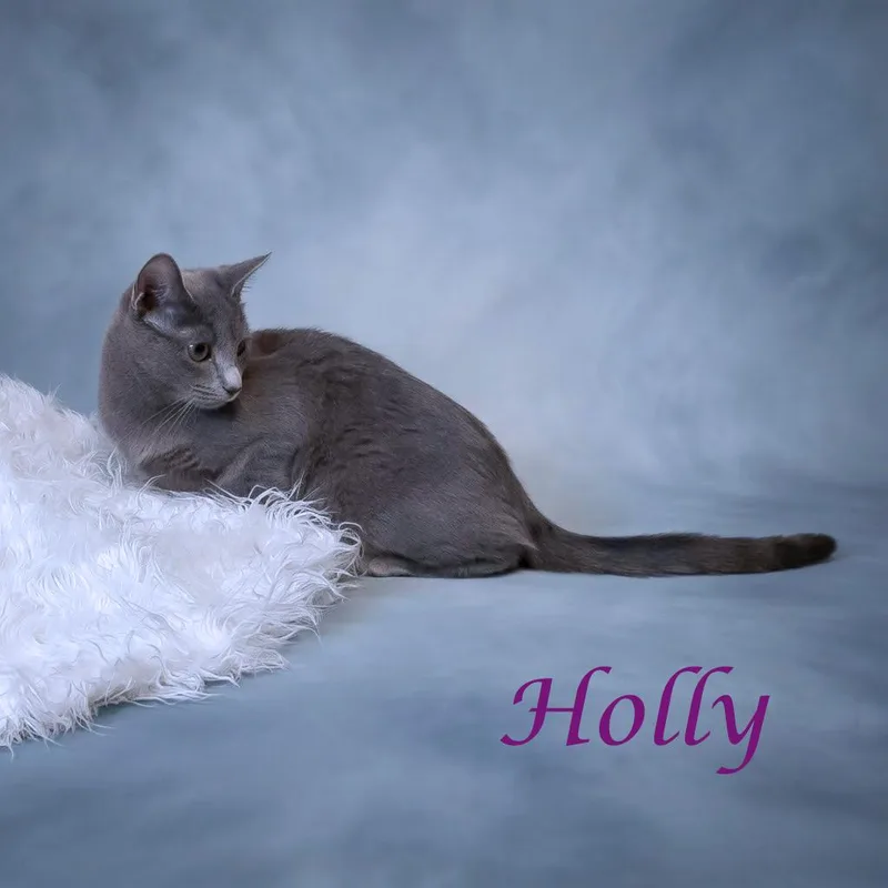 Holly C thumbnail 2