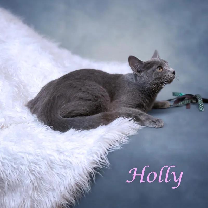 Holly C thumbnail 3