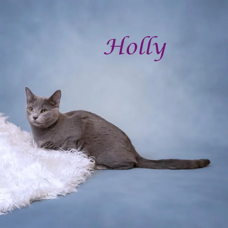 Holly C thumbnail 4