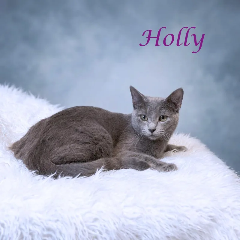 Holly C thumbnail 5