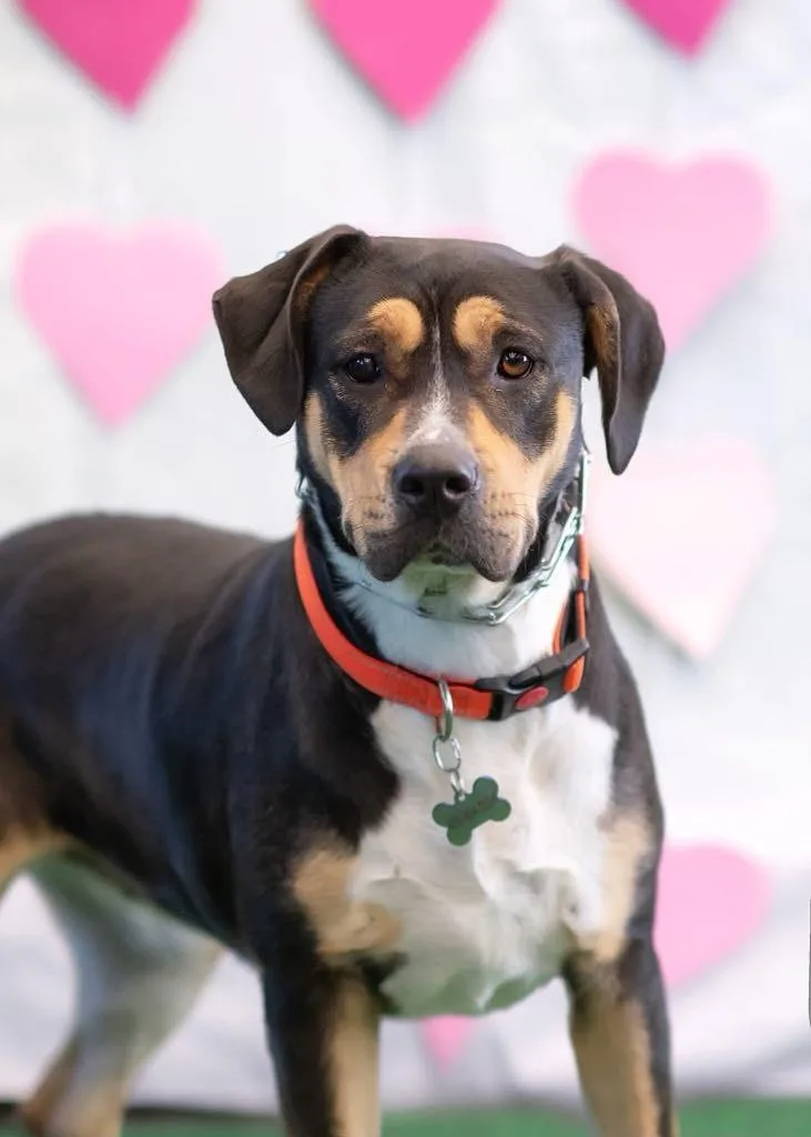 Sheila Aka Havoc thumbnail 3