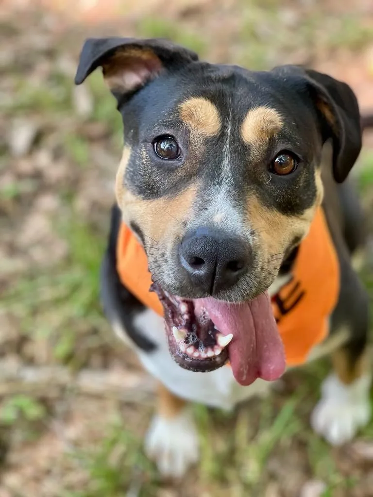 Sheila Aka Havoc thumbnail 4