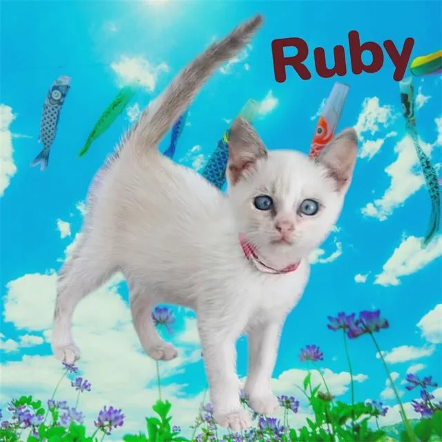 Ruby
