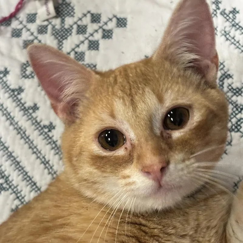 Duncan C thumbnail 3