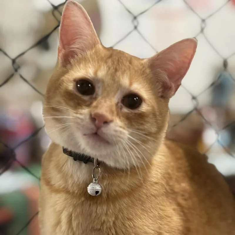 Duncan C thumbnail 4