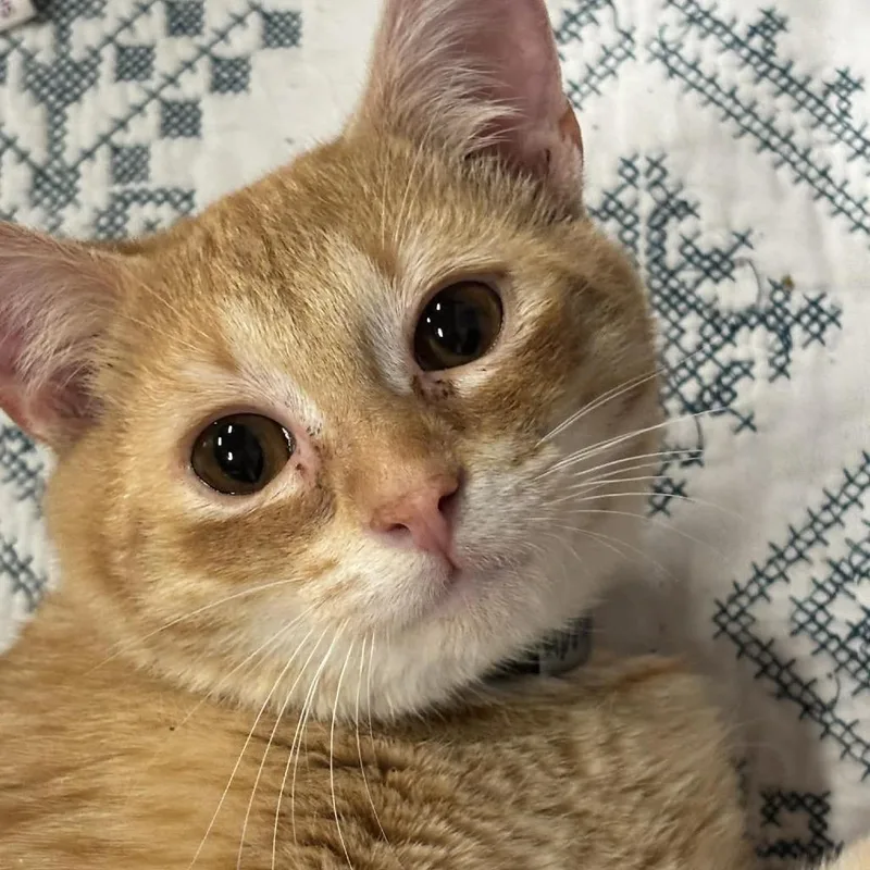 Duncan C thumbnail 6