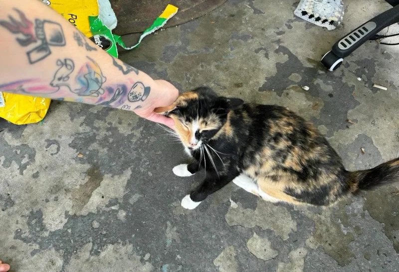 Billie