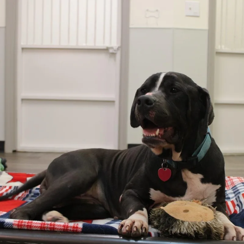 Grace Kelly thumbnail 2