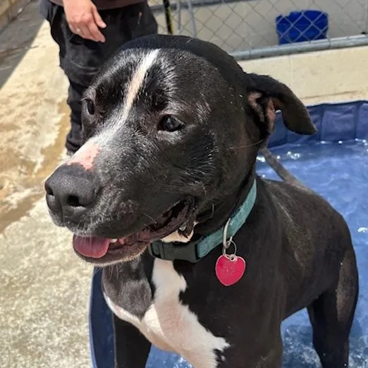 Grace Kelly thumbnail 3