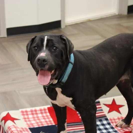 Grace Kelly thumbnail 4