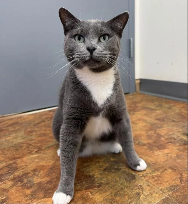 Momma Wobbles thumbnail 2