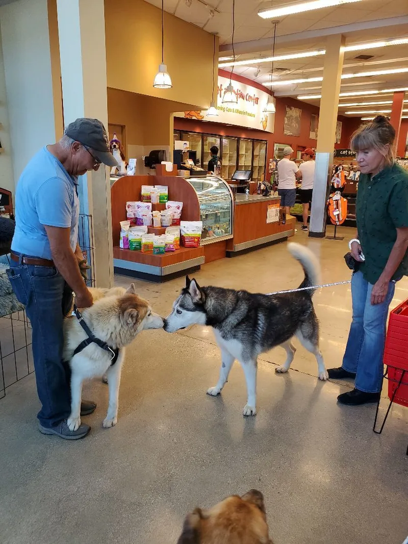 Funloving Fynn!! thumbnail 2