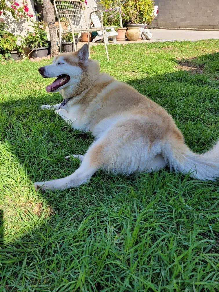 Funloving Fynn!! thumbnail 3