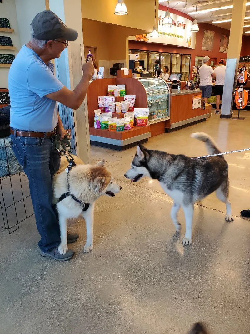 Funloving Fynn!! thumbnail 4