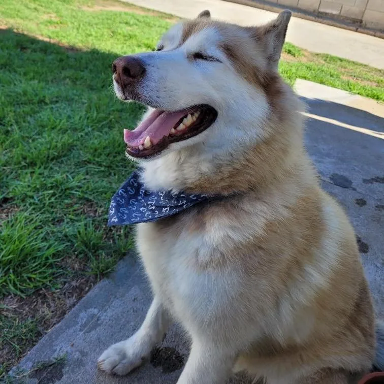 Funloving Fynn!! thumbnail 5