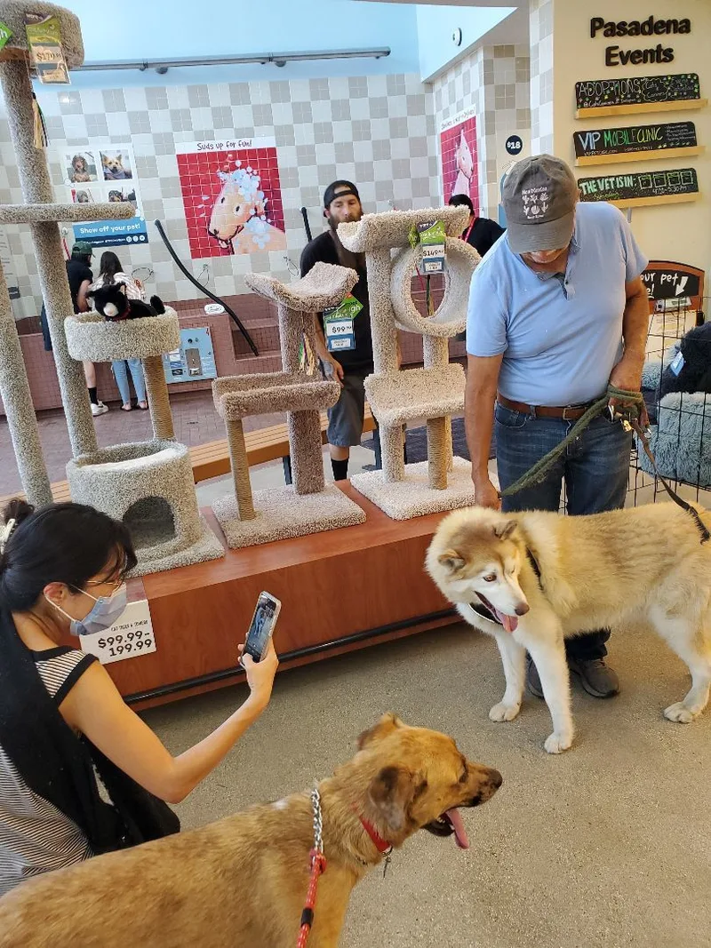 Funloving Fynn!! thumbnail 6