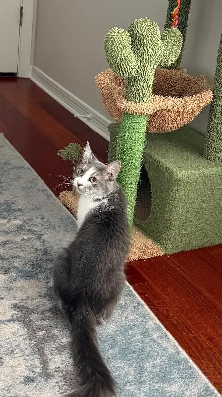 Fluffers thumbnail 2