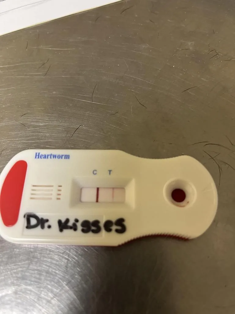 Dr. Kisses thumbnail 3