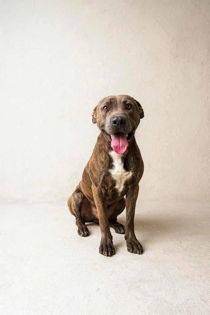 Dr. Kisses thumbnail 4