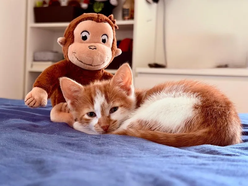 Theodore And Clifford thumbnail 6