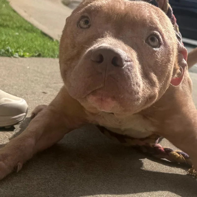 Copper