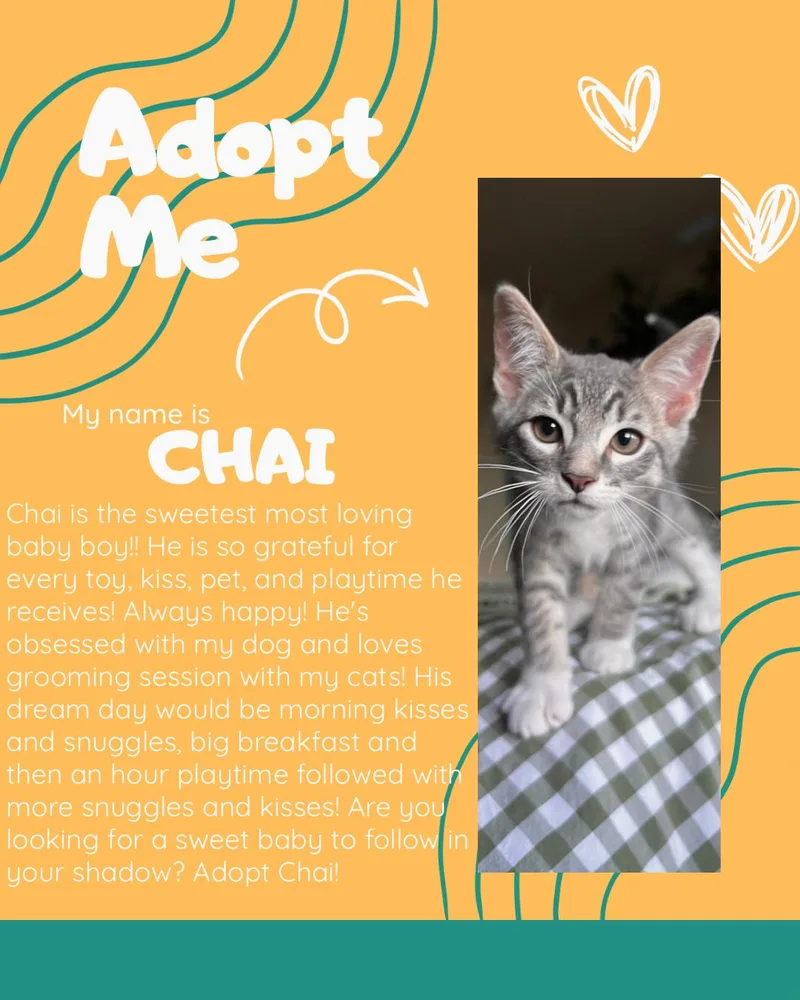 Chai