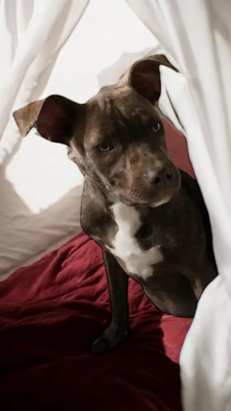 Lightning thumbnail 3