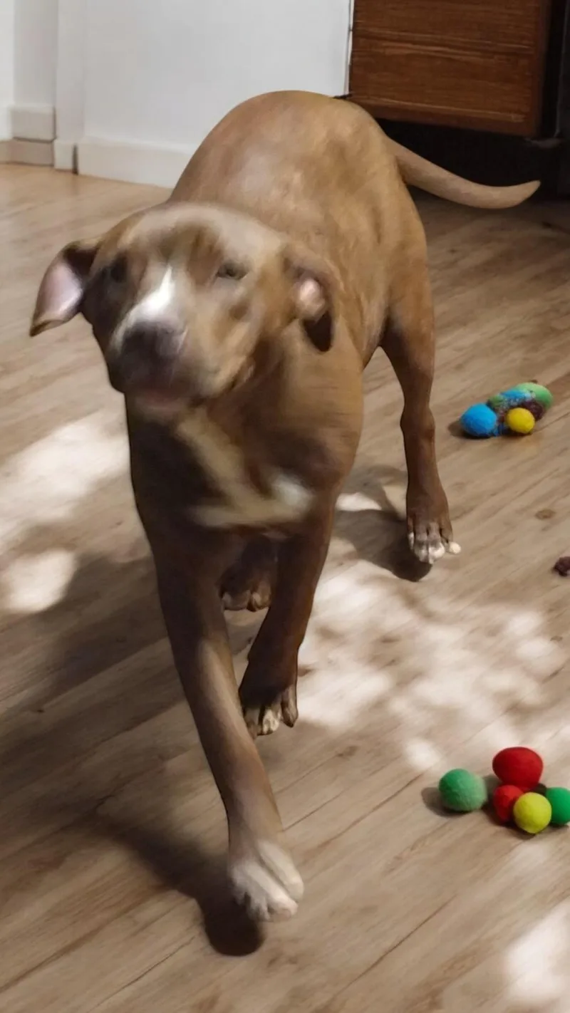 Lightning thumbnail 4