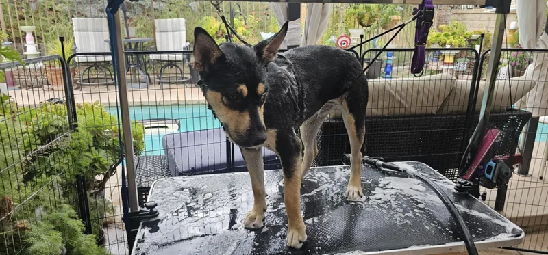 Sunshine thumbnail 2