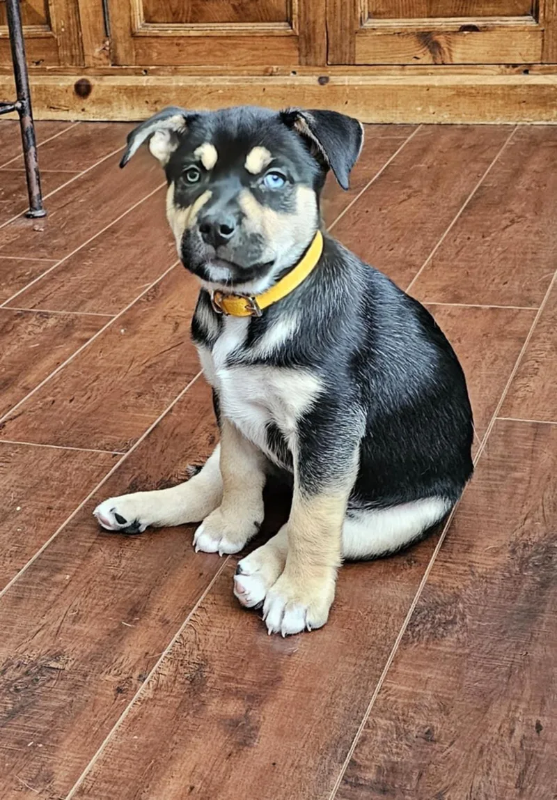 Sunshine thumbnail 3