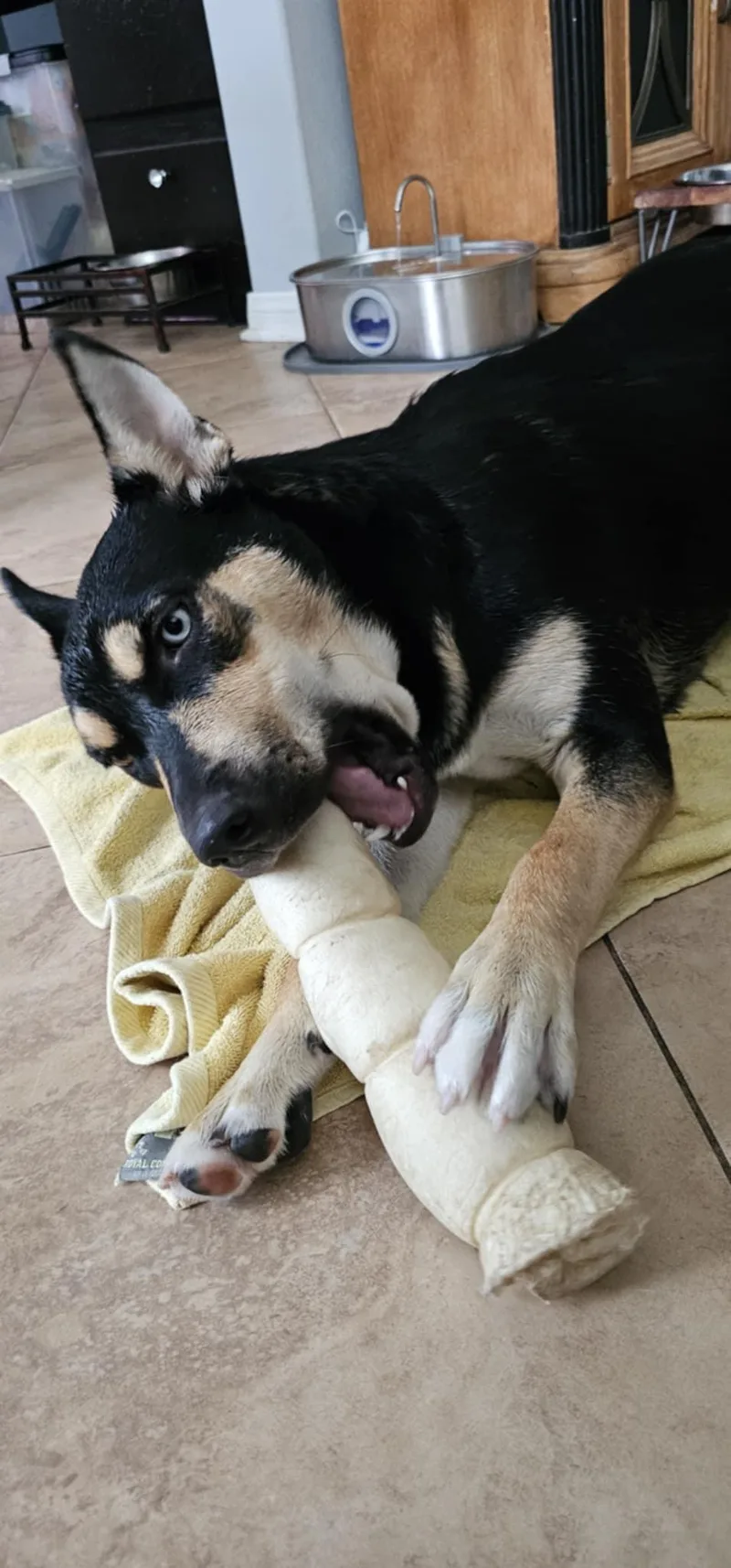 Sunshine thumbnail 4