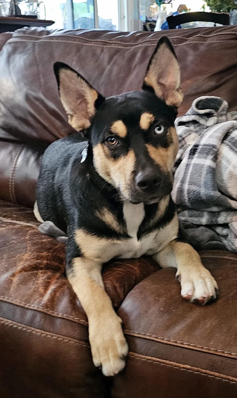 Sunshine thumbnail 5