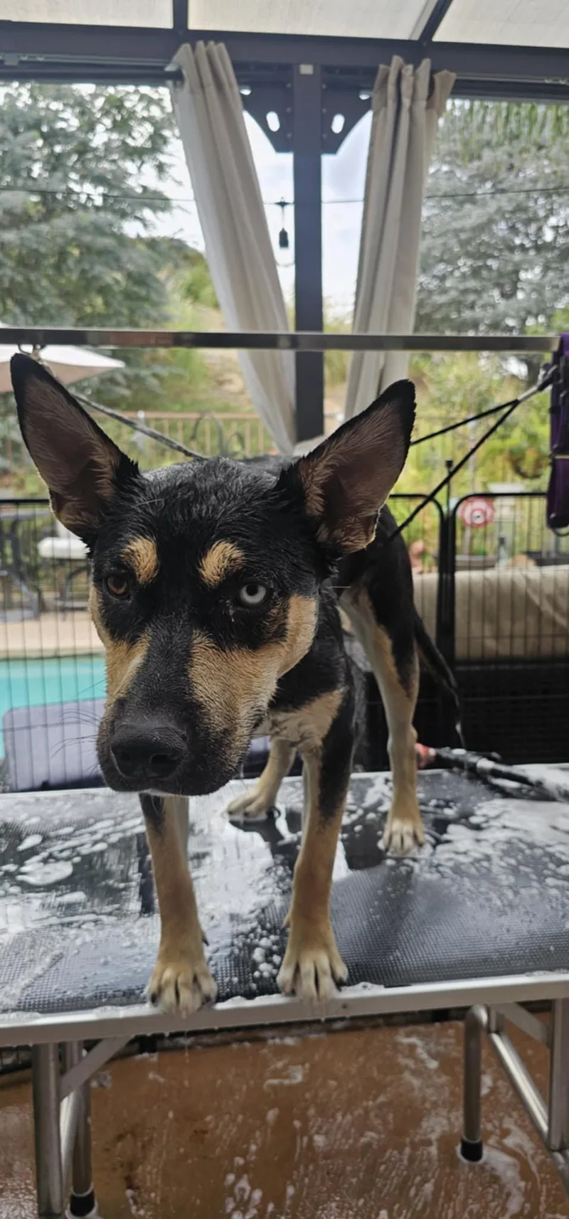 Sunshine thumbnail 6