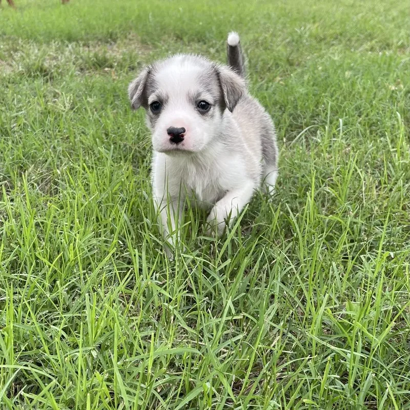 Marley Mae thumbnail 3