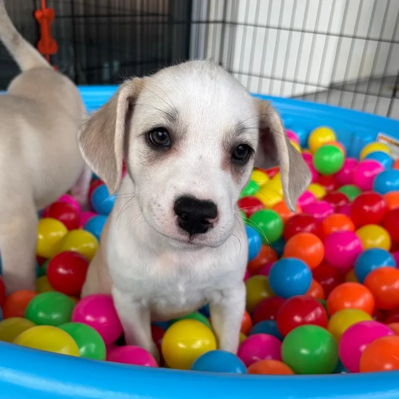 Marley Mae thumbnail 5