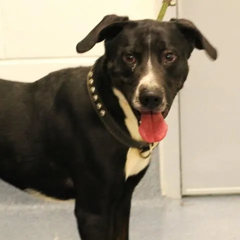 Loki thumbnail 2