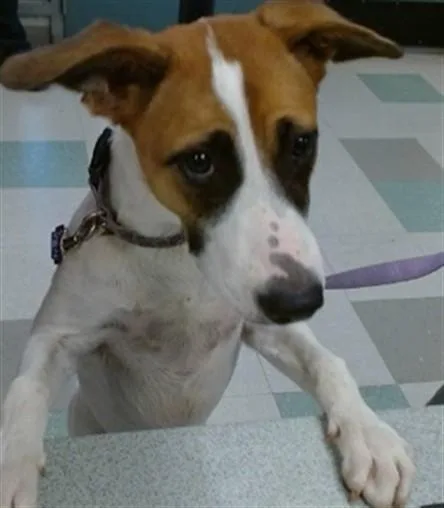 Amy