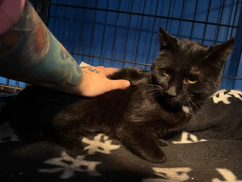 Wednesday thumbnail 3