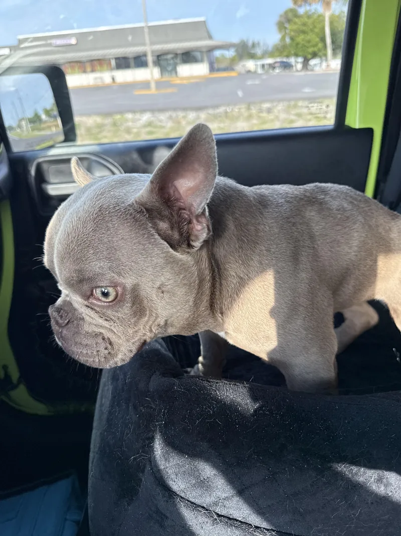 Charlie