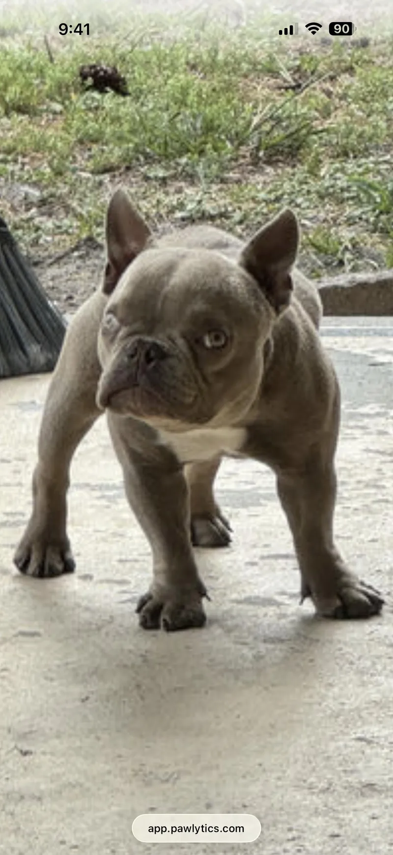 Charlie thumbnail 2