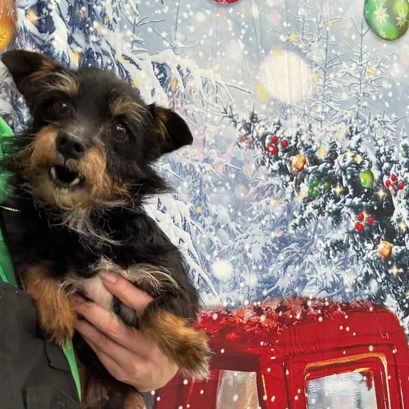 Zoey thumbnail 3