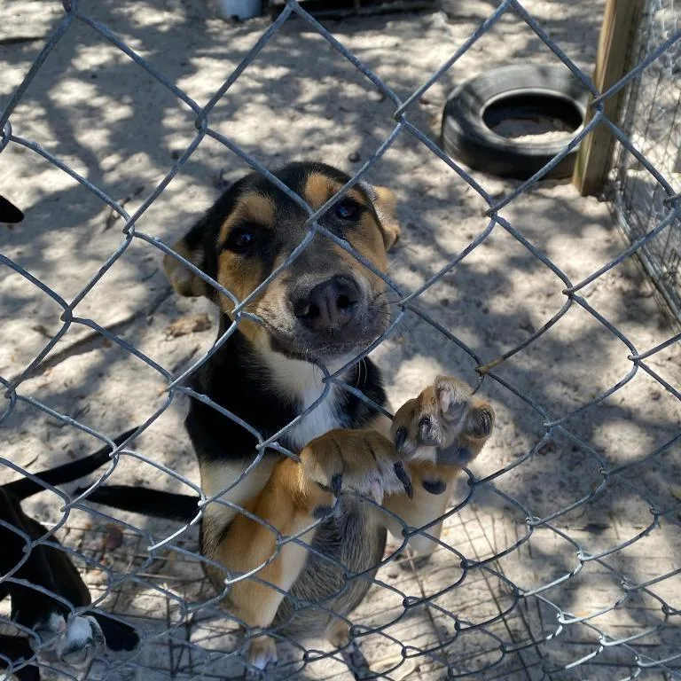 Julia Child thumbnail 3